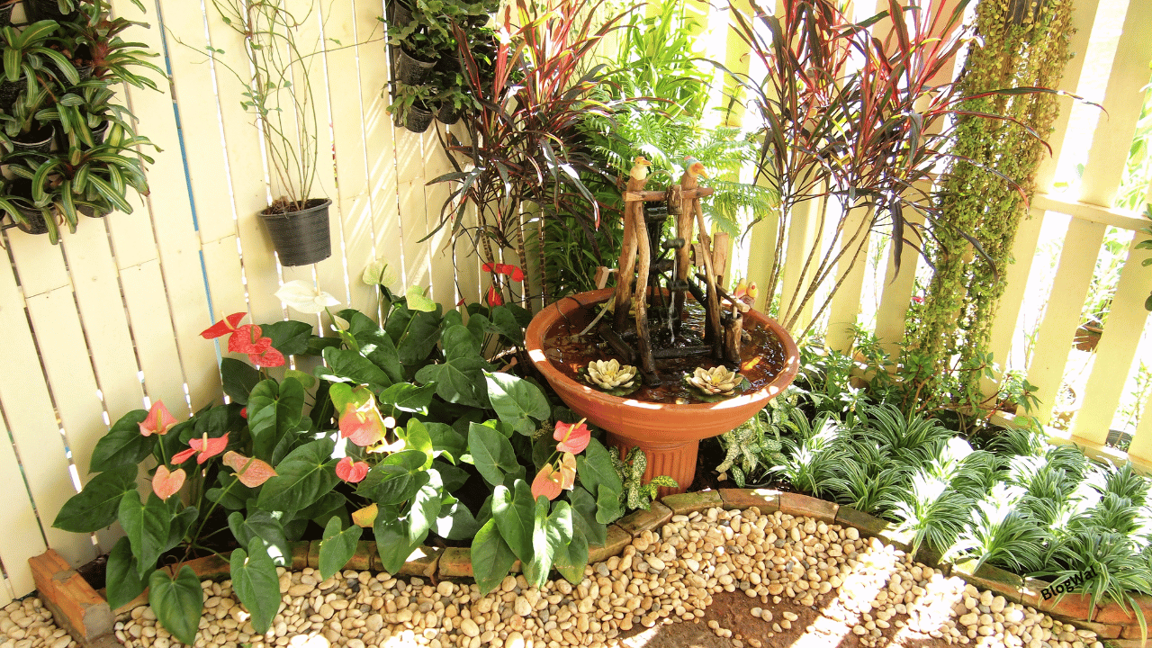 SmallSpaceGardening