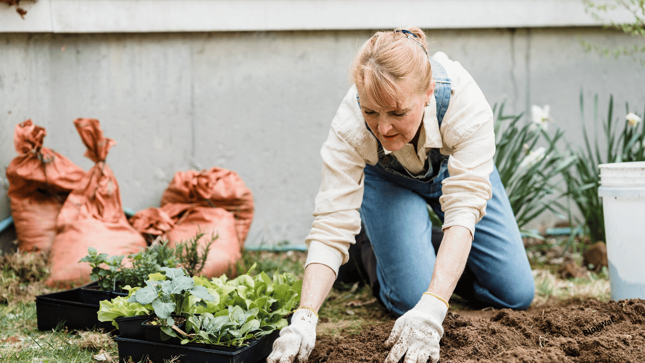 VerticalGardening